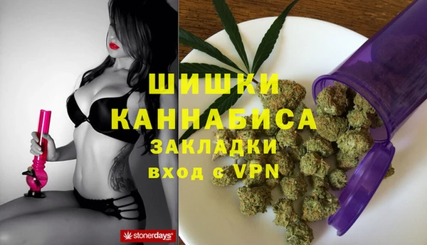 индика Краснотурьинск