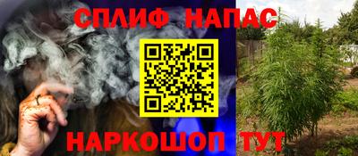 мдпв Аргун