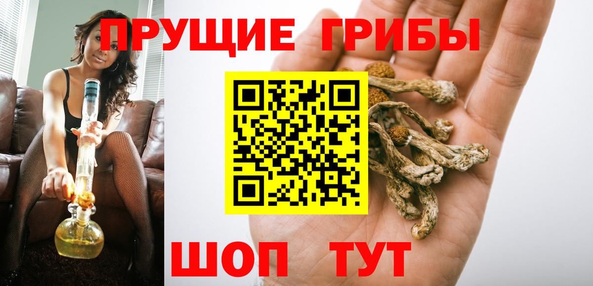 Крымск  Псилоцибиновые грибы ЛСД  Псилоцибиновые грибы Psilocybine cubensis  Вход с VPN 